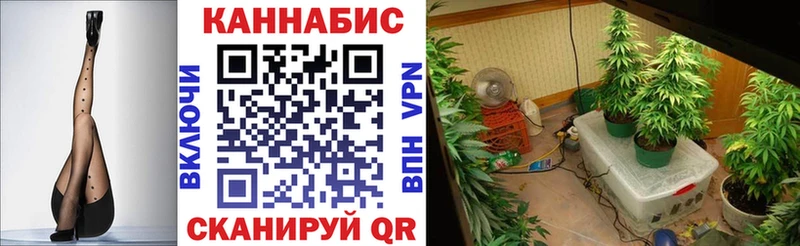Бошки Шишки OG Kush Ужур